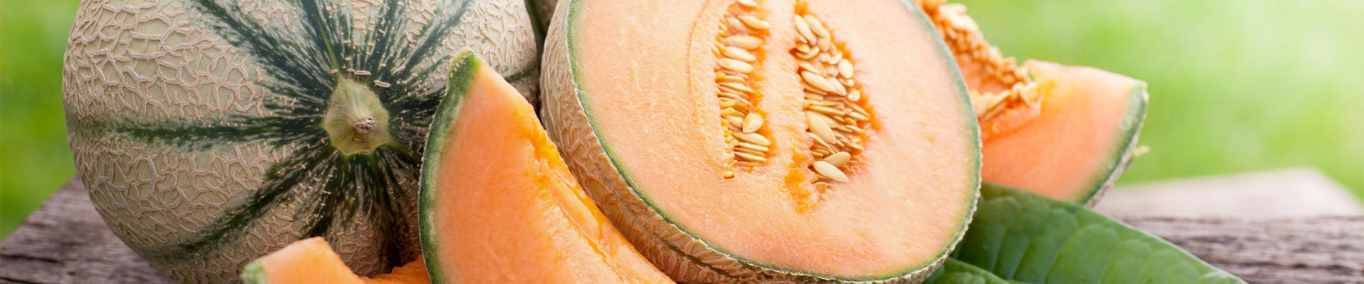 fond-melon