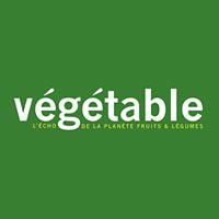 vegetable-logo